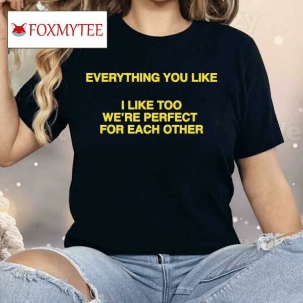 Everything You Like I Like Too We're Perfect For Each Other Shirt