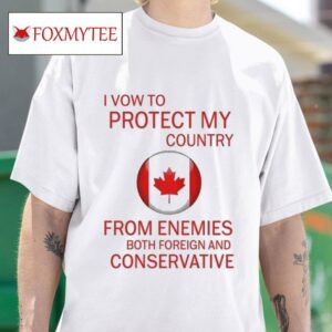 Ryan Reynolds I Vow To Protect My Country From Enemies Both Foreign And Conservative S Tshirt